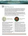 Fact Sheet: Habitat - Open Woodlands