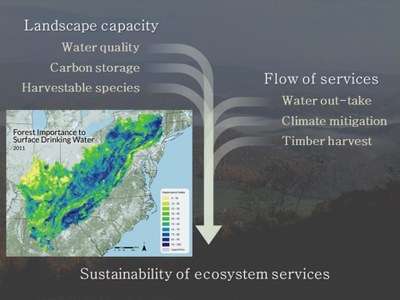 Sustainability of ecosystem services (1)