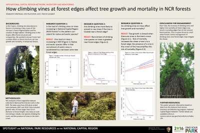 How Climbing Vines at Forest Edges Affect Tree Growth and Mortality in NCR Forests