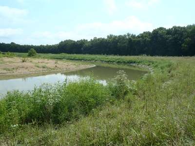 Post Restoraiton, August 2014