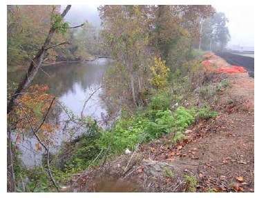 Murphy Track Site Before