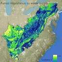 Ecosystem Services Benefits and Risks