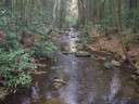 A narrow river splits the forest in this section of the Appalachian Trail in Georgia.