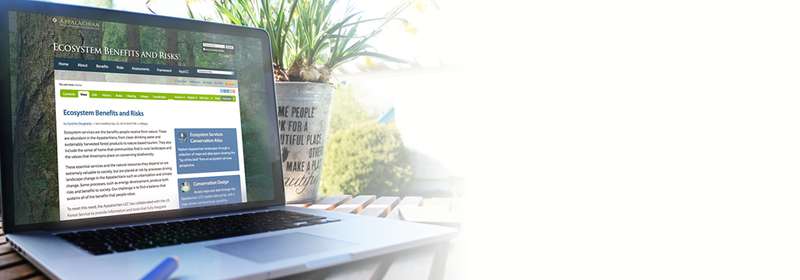 Ecosystem Risks and benefits