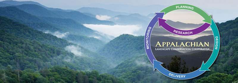 Our Guiding Principles